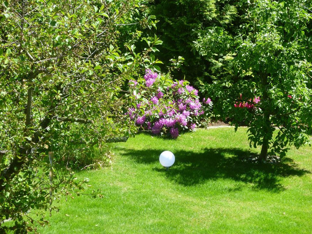 Ferienwohnung Baude Bad Harzburg Phòng bức ảnh
